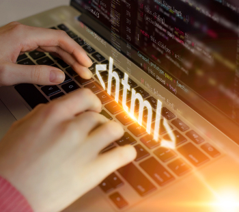 Website Development